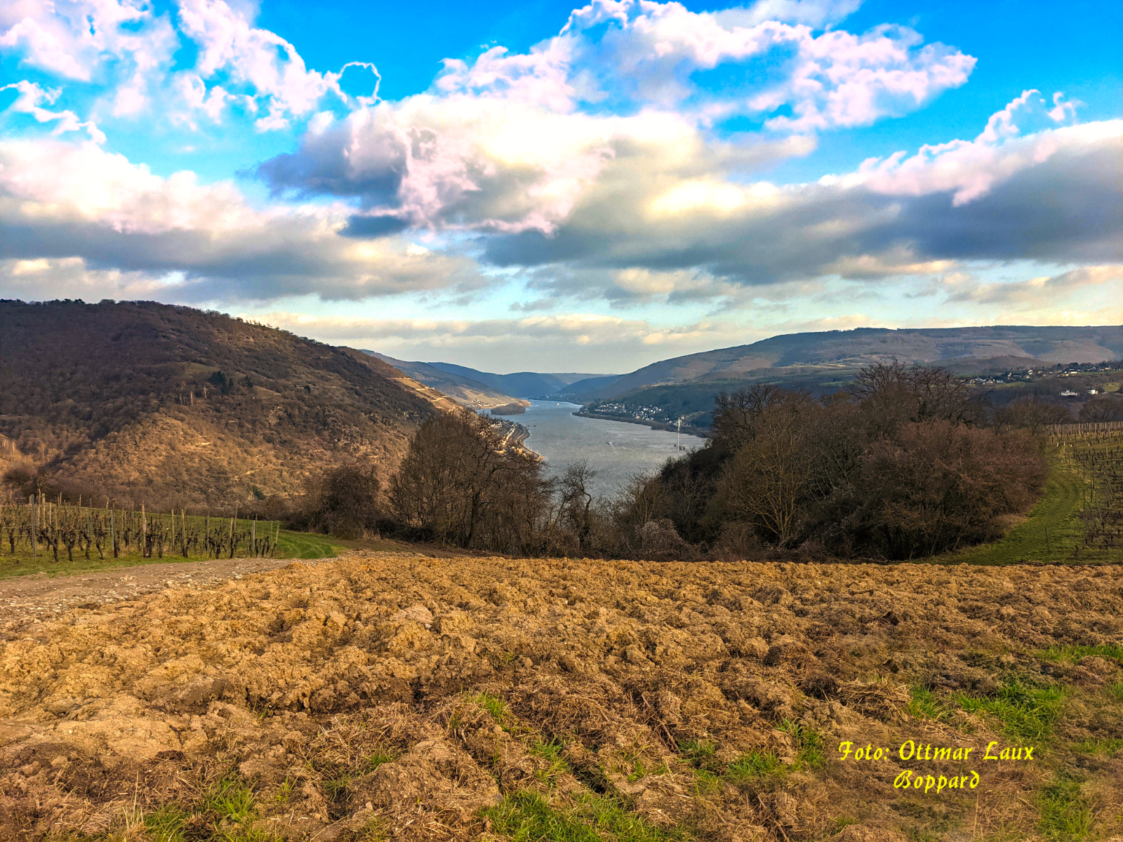 Boppard
